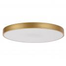 RABALUX - Ceiling lamp with remote control TESIA 71038 LED 60W 3760lm 3000-6000K
