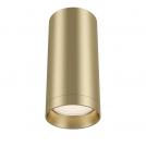 MAYTONI - Ceiling Lamp Alfa C010CL-01MG