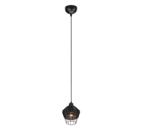 TRIO - pendant luminaire  BORKA – R31261002 E27, 40W