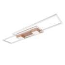 TRIO - ALBANY – 647710465 incl. 1x SMD, 37W · 1x 4300lm, 2700 - 6500K