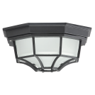 TNL - Outdoor ceiling lights Spider IP54 BIG     