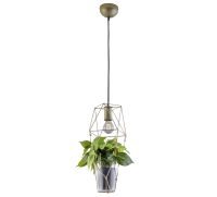 TRIO - PLANT – 301000167