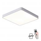 VITO - LED CEILING SQUARE LIGHTING FIXTURE FINESSE S1-60 600*600*H50 60W DIMMABLE+MOBILE WHITE 2026170