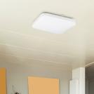 RABALUX - Ceiling lamp  ROB  2286  LED / 20W, 1400lm, 4000K