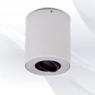 TNL - Surface Mounted downlight ceiling lamp 929339WHGY