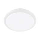 EGLO - wall / ceiling luminaire 97319 COMPETA-ST