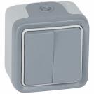 LEGRAND - Switch Plexo IP55 - 2 gang 2-way - 10 AX 250 V~ - surface mounting - grey 69715