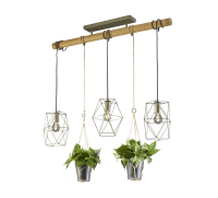 TRIO - PLANT – 301000367