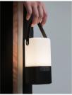 NOVA LUCE - mobile luminaire RAY 9180371 LED 2.5 Watt 40Lm 3000K IP20 D: 9.3 H: 16.5-23 cm