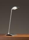 PAULMANN - Desk lamp Bay LED 702.43 (1)