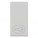 VIMAR - 14021.P.SL - Button 1M key symbol Silver