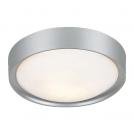 ACA LIGHTING -   WALL & CEILING LUMINAIRES  DL250S