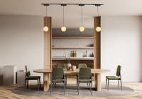 RABALUX - LiTrack Pend.03V color changing pendant light 5W 360lm2700-5500K 70131 (8)