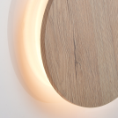 ACA LIGHTING - ZM1705LEDWLW (2)