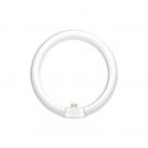 ACA LIGHTING - FLUORESC. RING T9 G10q 40W 4000k 348010040E