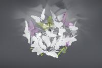 TRIO - BUTTERFLY – R60213017 (1)
