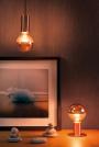 PAULMANN - Table lamp Neordic Soa 796.00 (1)