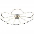SEARCHLIGHT - 8178-8CC Foliage