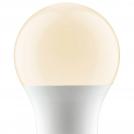 PAULMANN - 28520   LED AGL Whiteswitch ⚡ 8.5W ⚡ E27 ⚡ with step switch for 3 different white tones ✴ Opal (2)