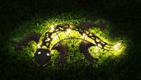 GLOBO - Solar lamp Lizard metal 33518 BRONZEFARBEN (3)