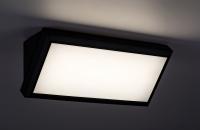 RABALUX - аплик за външен монтаж RAPLA 7282 LED 12W, IP54, 1000LM, 4000K (3)