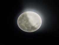 TRIO - LUNAR – 627514000 (5)