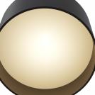 MAYTONI - Ceiling Lamp Planet C009CW-L12B (1)