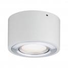 PAULMANN - LED Димируем плафон  79708  ARGUN 3-Step-Dim⚡3000K⚡280lm⚡230V⚡LED 4.8W✴Полиран алуминий / Бял