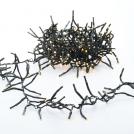 ACA LIGHTING - 700 CLUSTER LED STRING LIGHTS (PER 5cm), WW, ADAPTOR (31VDC) & 8 FUNCTIONS,IP44, 11.5m, GREEN CABLE X087001122