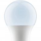 PAULMANN - 28520   LED AGL Whiteswitch ⚡ 8.5W ⚡ E27 ⚡ with step switch for 3 different white tones ✴ Opal (4)